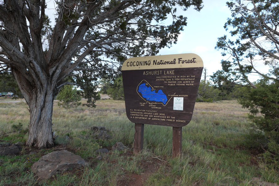 Ashurst Lake Campground