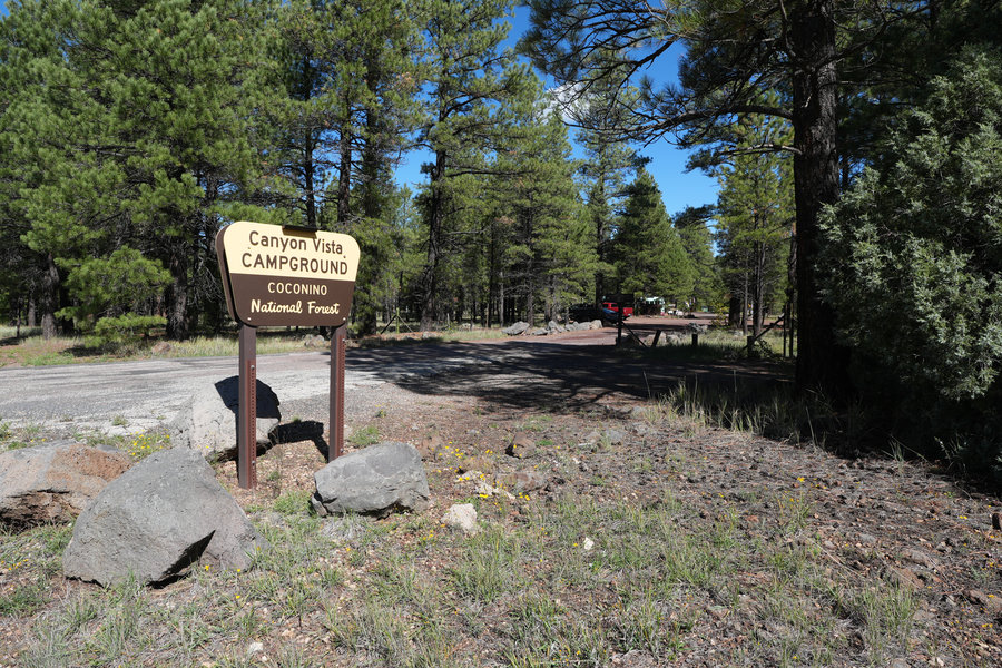Canyon Vista Campground under tall pines near Lake Mary