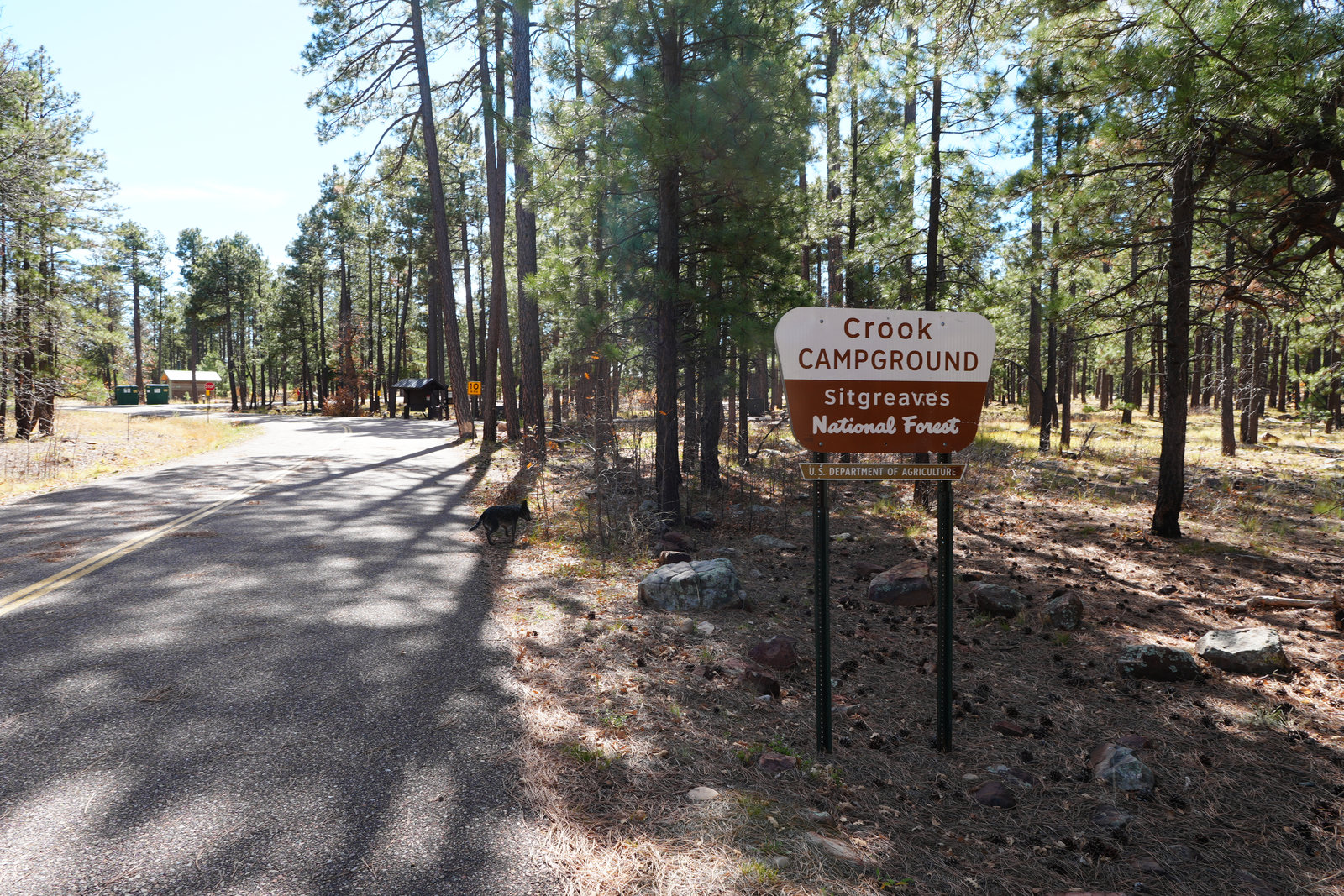 Shaded site at Crook Campground