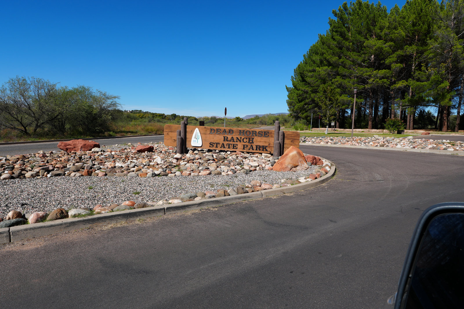 Lagoon and cottonwoods at Dead Horse Ranch State Park