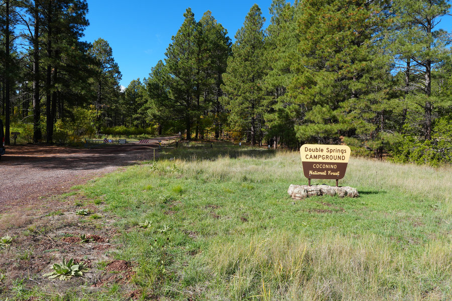 Double Springs Campground under tall pines near Mormon Lake