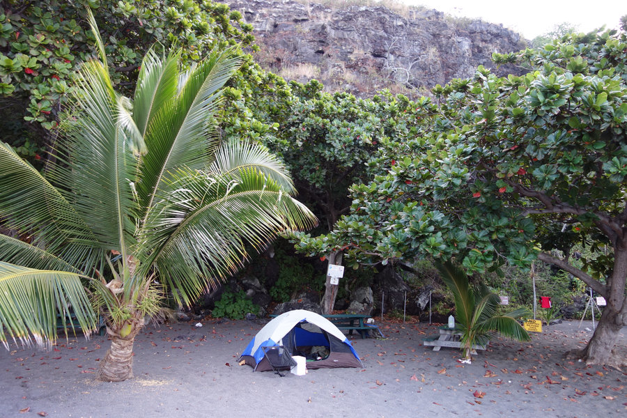 Ho‘okena Beach Park shorebreak and palms