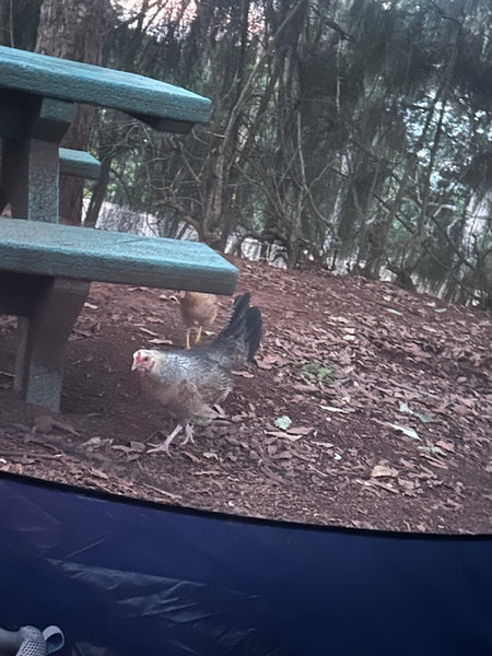 Views toward Hālawa and the Koʻolau