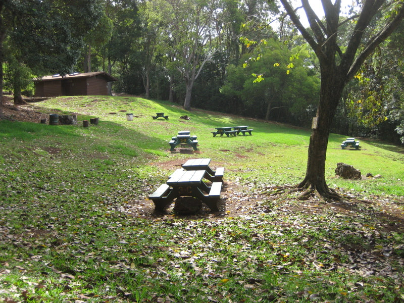 Shelter pavilion and open lawn