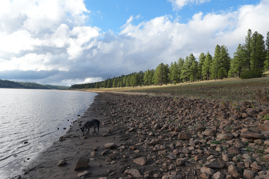 Lake Mary Campgrounds