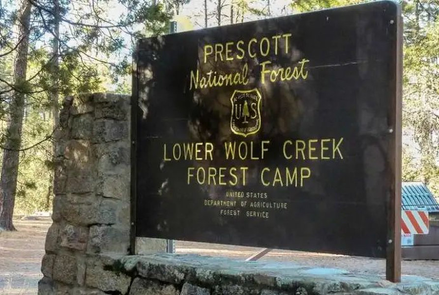 Lower Wolf Creek Campground among tall ponderosa pines