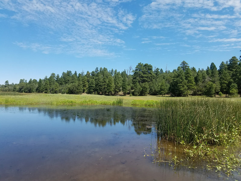 Marshall Lake Campground