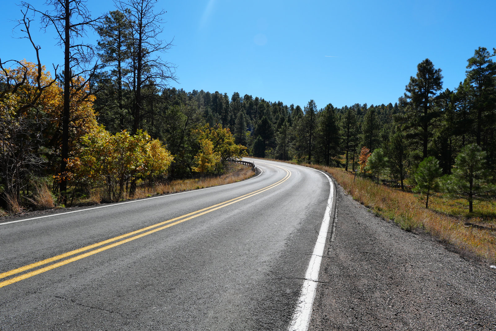 Mingus Lake Campground