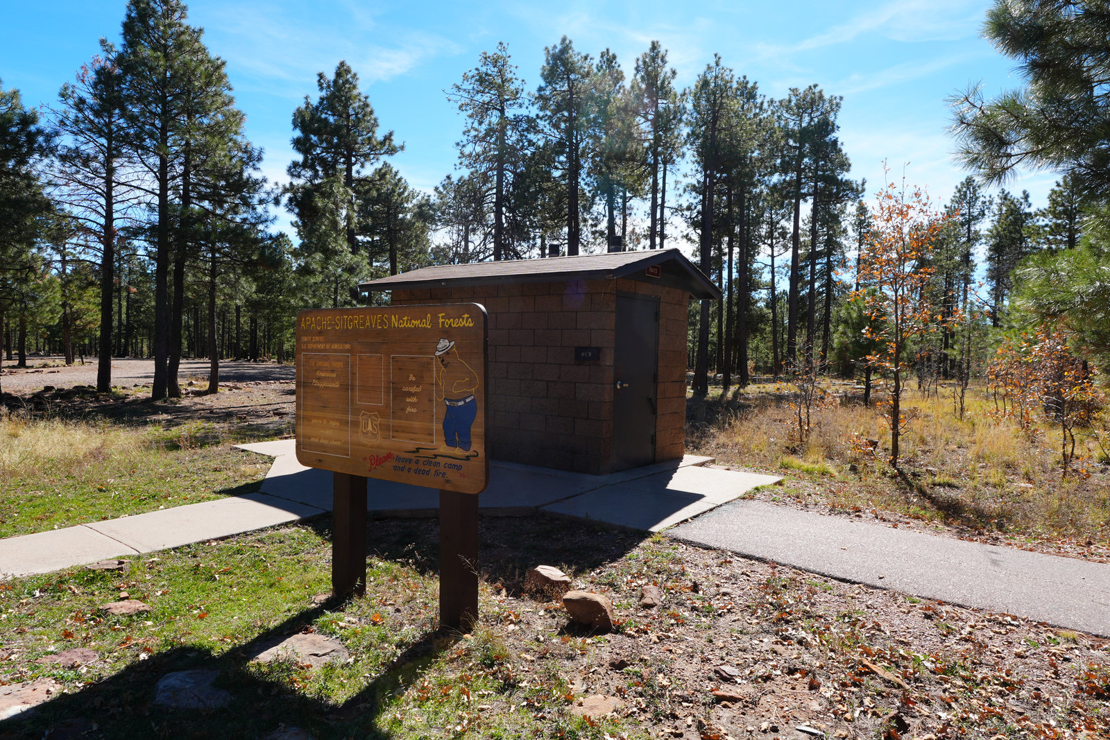 Fire ring and benches