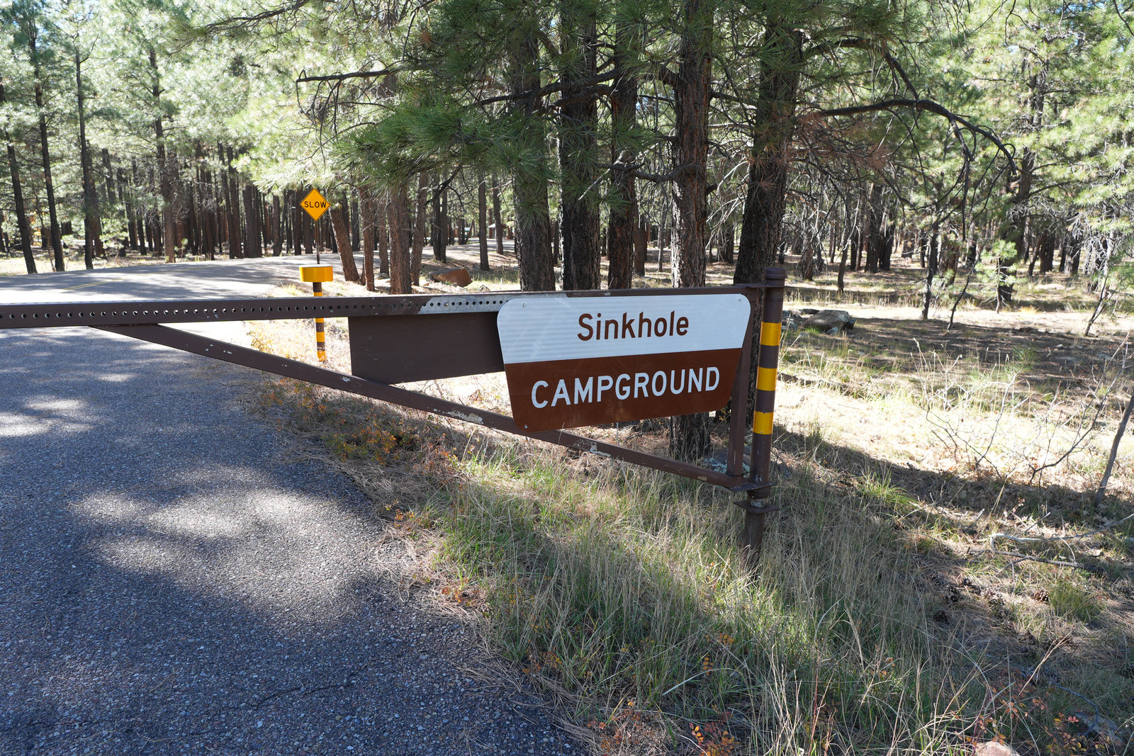 Sinkhole Campground in tall pines near Willow Springs Lake