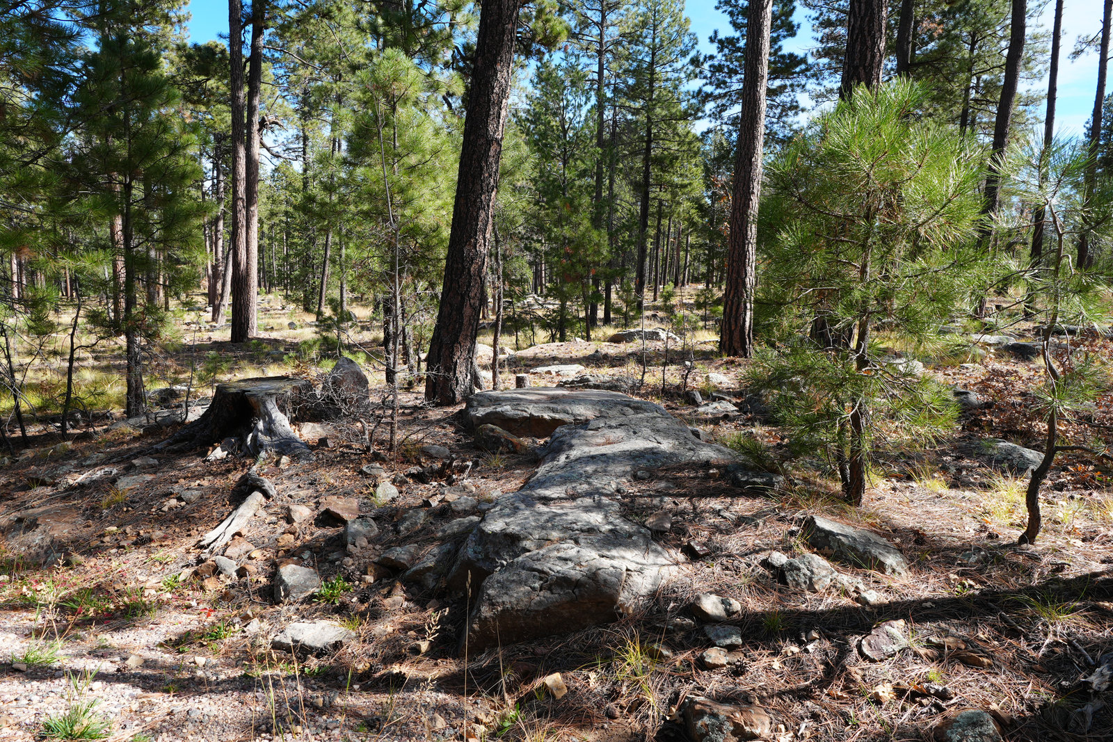Woods Canyon Lake from Spillway Campground