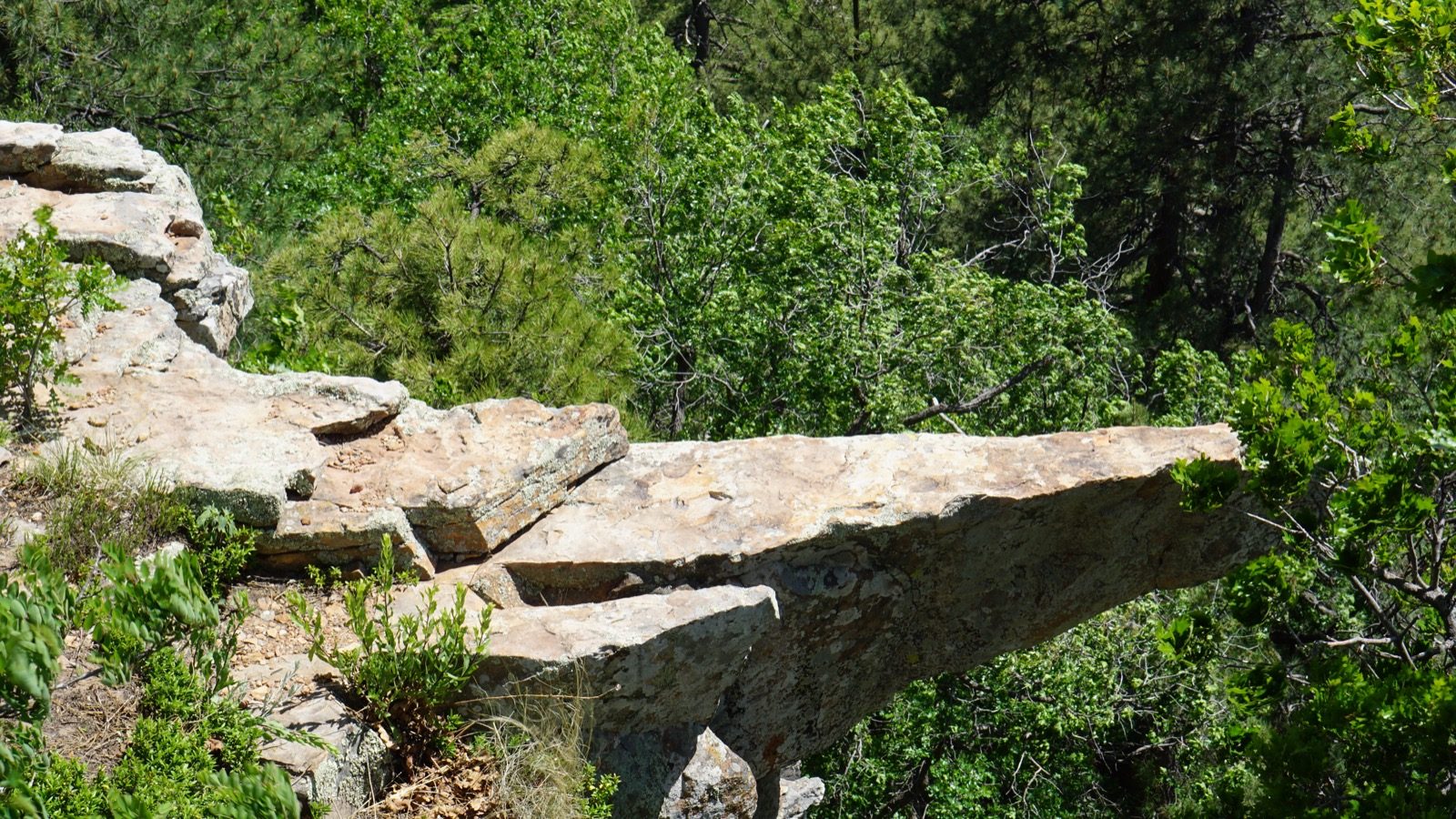 Rocky overlook above the forest near Woods Canyon Lake
