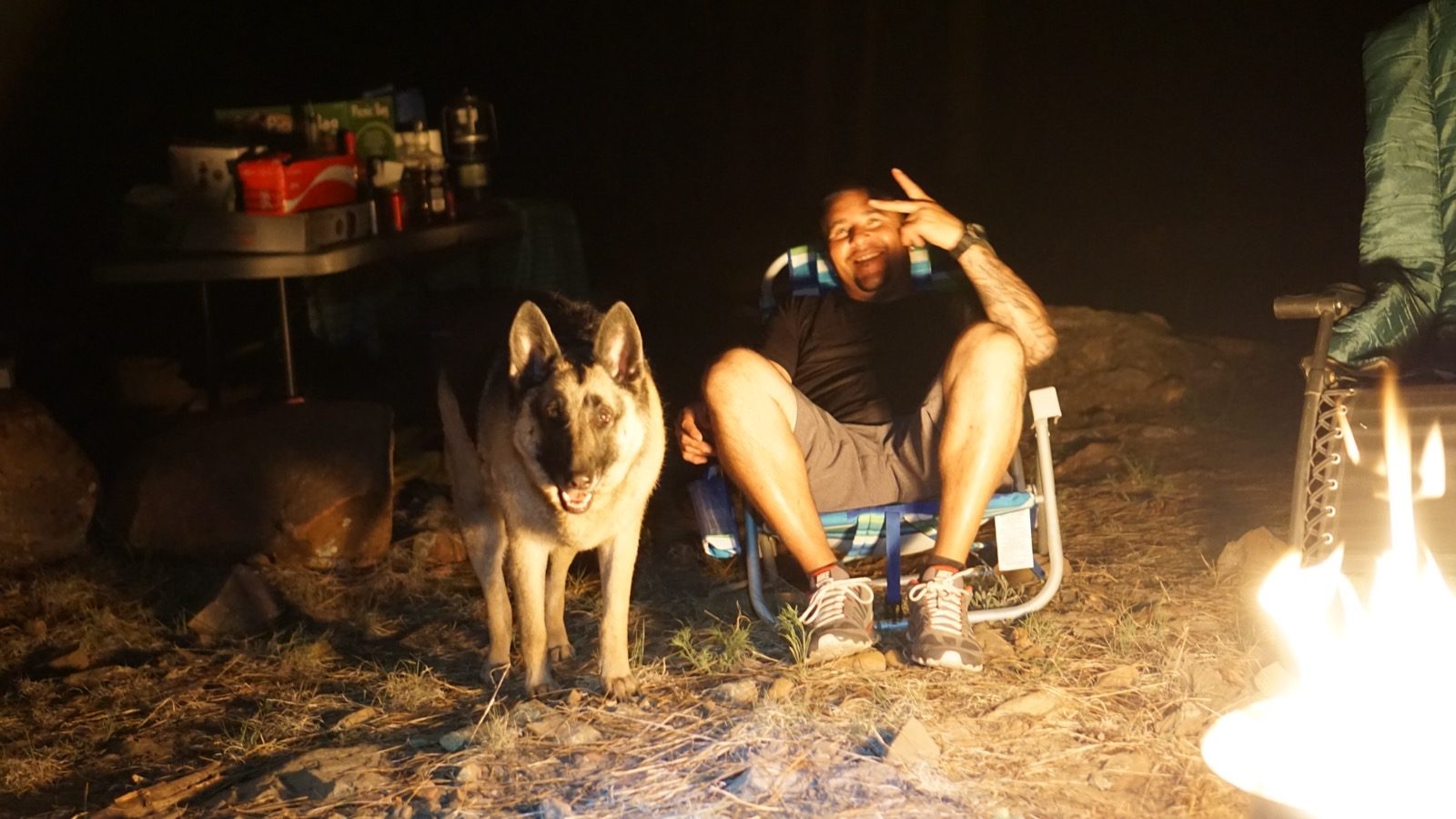 Dog and campers relaxing beside the fire at night