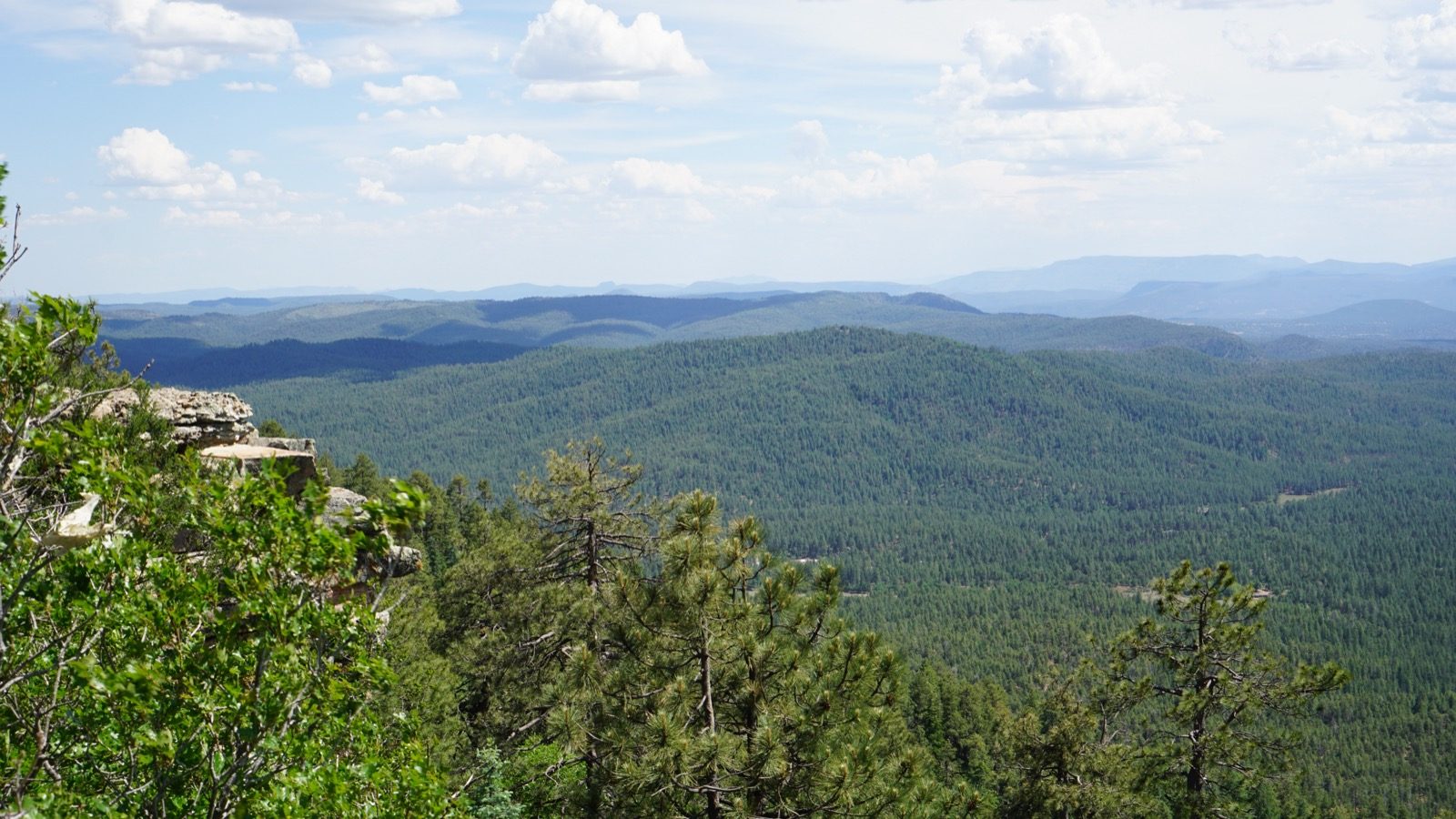 Wide forest and mountain view near Woods Canyon Lake